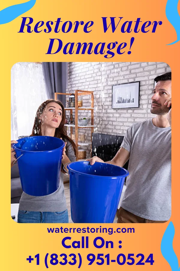 water restoration Quality Mitigation Force Blandon